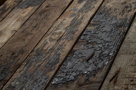 Wood Rot Repair